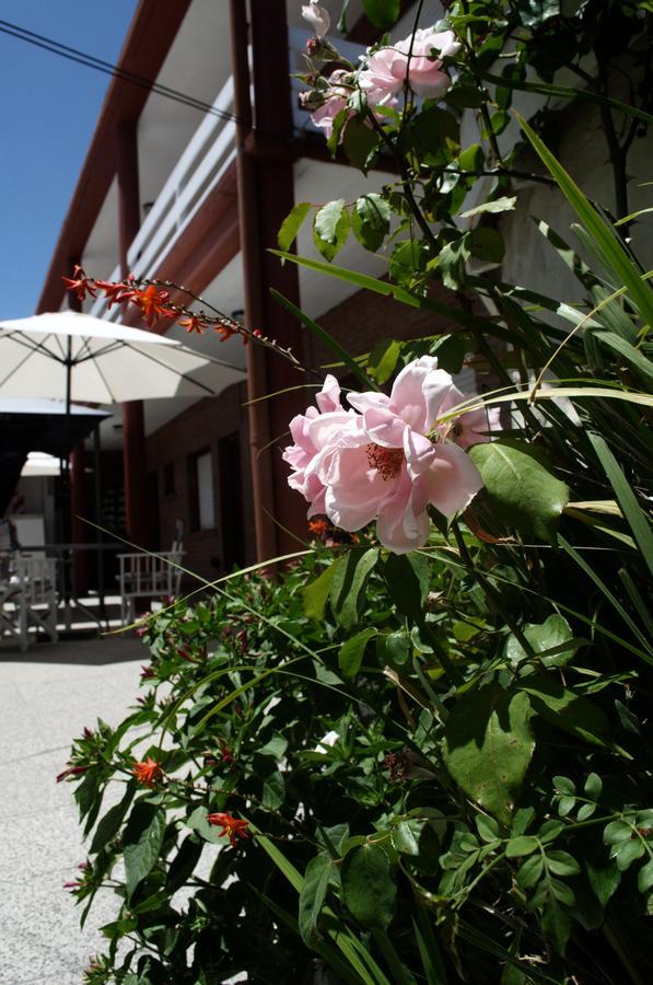 Hosteria Robert Villa Gesell Luaran gambar